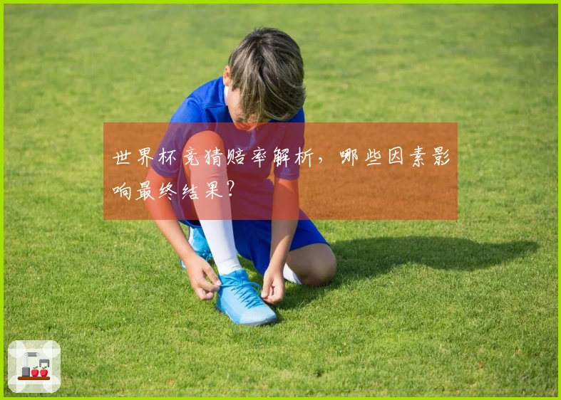 世界杯竞猜赔率解析，哪些因素影响最终结果？