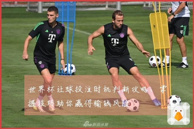 世界杯让球投注时机判断攻略，掌握技巧助你赢得输钱风险