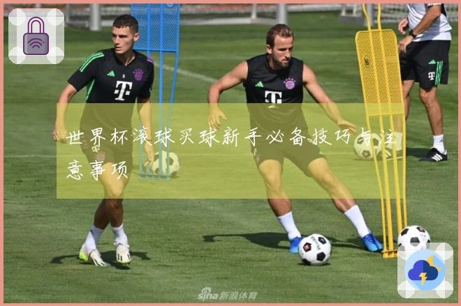 世界杯滚球买球新手必备技巧与注意事项