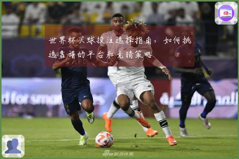 世界杯买球投注选择指南，如何挑选靠谱的平台和竞猜策略