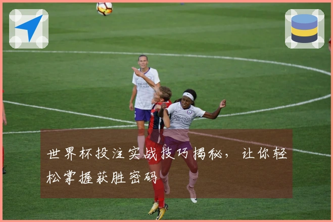 世界杯投注实战技巧揭秘，让你轻松掌握获胜密码