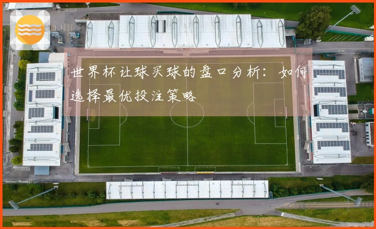 世界杯让球买球的盘口分析：如何选择最优投注策略