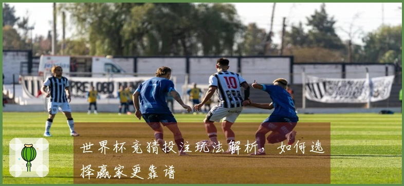 世界杯竞猜投注玩法解析，如何选择赢家更靠谱
