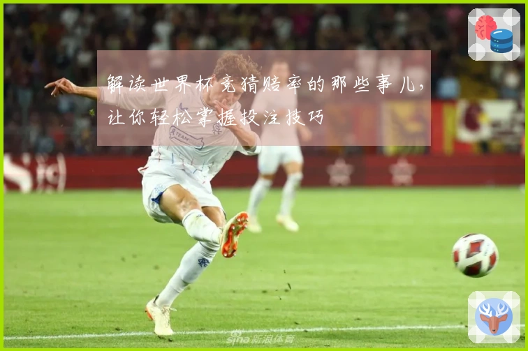 解读世界杯竞猜赔率的那些事儿，让你轻松掌握投注技巧