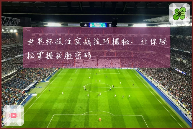 世界杯投注实战技巧揭秘，让你轻松掌握获胜密码